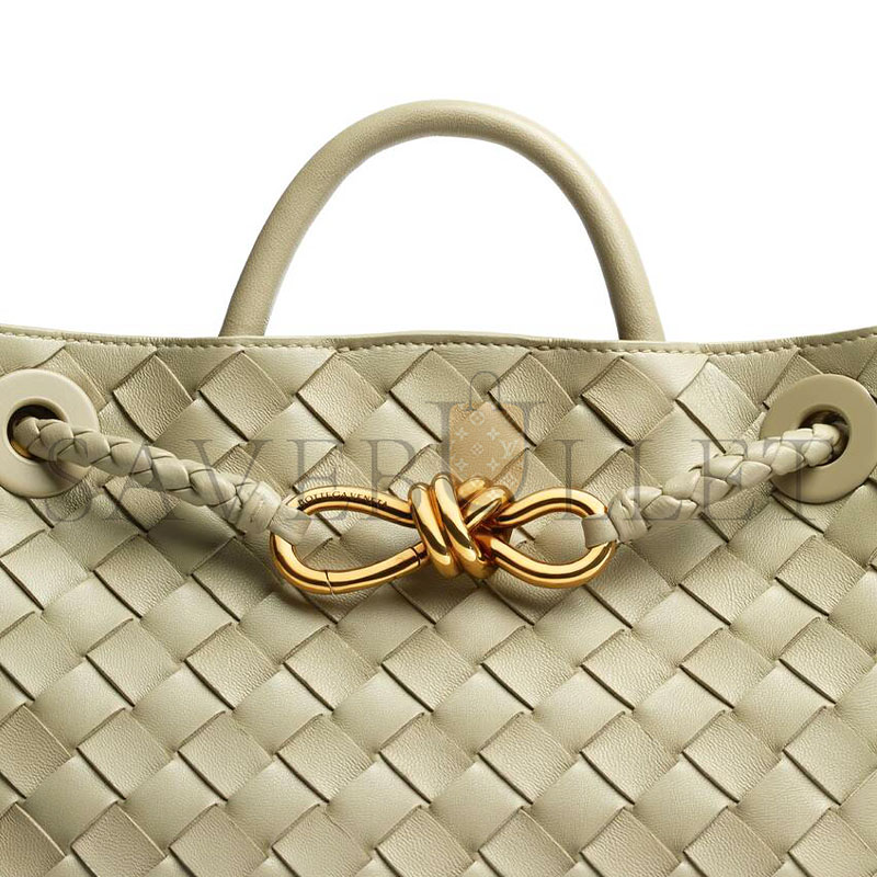 BOTTEGA VENETA SMALL ANDIAMO 766014VCPP12492 (25*20*10cm)